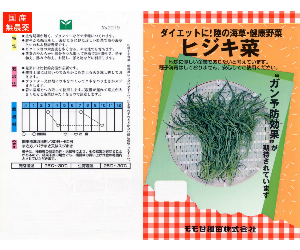 ヒジキ菜解説