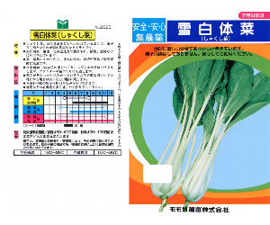 雪白体菜解説