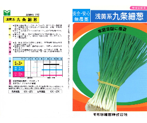 九条細ねぎ解説