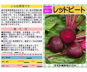 レッドビート解説