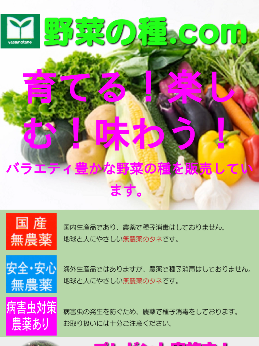 トレビス= of 野菜の種.com